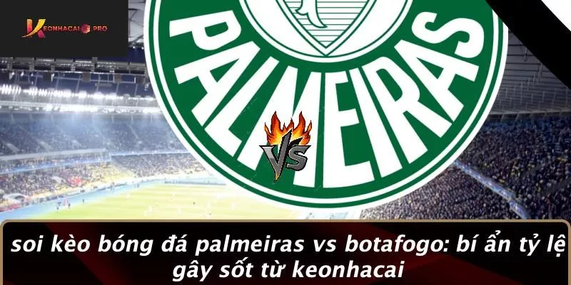 SOI KÈO BÓNG ĐÁ PALMEIRAS VS BOTAFOGO